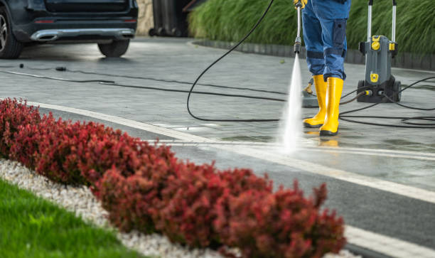 Best Deck Cleaning Services  in Meadowdale, WA