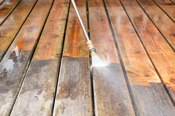 Best Fence Pressure Washing  in Meadowdale, WA